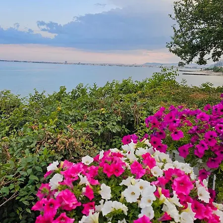 Holivibes - Sea View - Bulgaria 圣弗拉斯